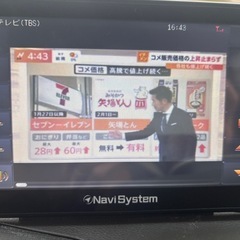 ポータブルナビ テレビ