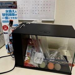 3/24迄GEX水槽＆掃除用品まとめ（金魚なし）