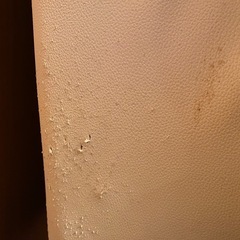 ソファの画像