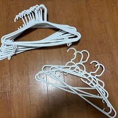 ハンガー21本セットの画像