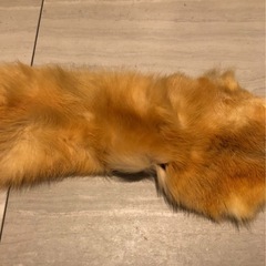 おそらくフォックスの毛のファーの画像