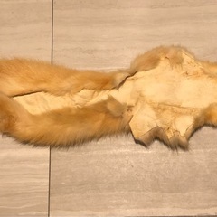 おそらくフォックスの毛のファーの画像