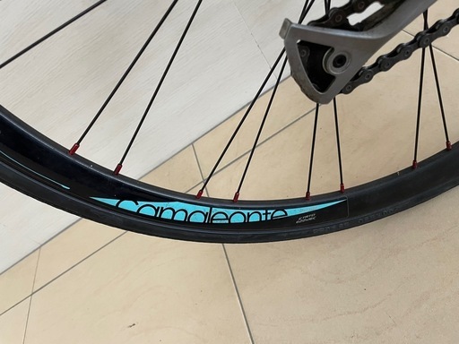 美品bianchi ビアンキカメレオンテ3 ディスクブレーキ仕様サイズ