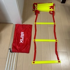 トレーニングラダー