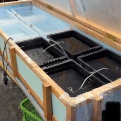 NV BOX  タライ　メダカ飼育にどうぞの画像