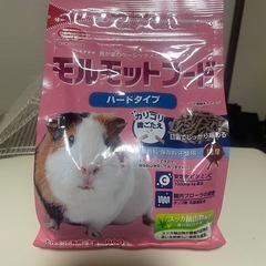 未使用　モルモットフード　ハードタイプ　600g 