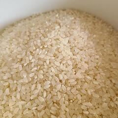 (お取引中)の画像