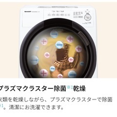 SHARP ドラム式洗濯機 ES-S7G-NL [ピンクゴールド]の画像