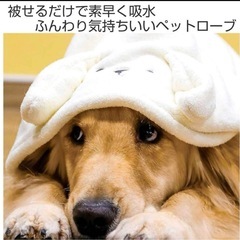 小型犬用 ペット バスローブ フリース素材 耳付きの画像