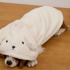 小型犬用 ペット バスローブ フリース素材 耳付きの画像
