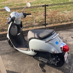 ホンダ ジョルノ(AF77) ヘルメット付き　すぐ乗り出せます！！の画像