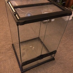 グラステラリウムの中古が安い！激安で譲ります・無料であげます