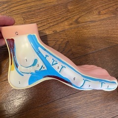 模型の画像