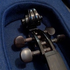 最終値下げ！　エレキバイオリン 　電子バイオリンの画像