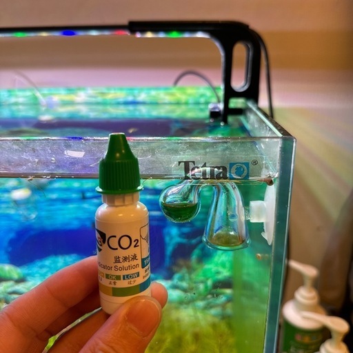 60cmの水槽がセットで売っています。