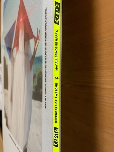 CAPITA 　DOA 154 極美品　キャピタ