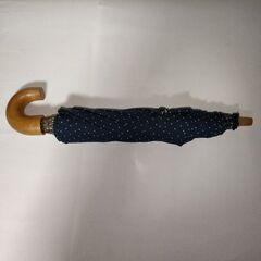 水玉模様の折り畳み傘の画像