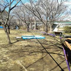 千葉県八千代市 スラックライン予定 2025/3/15、16