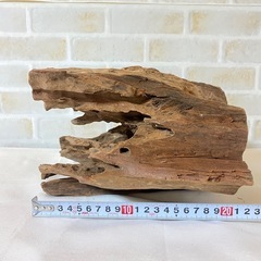 ②流木 天然木 アクアリウム 盆栽 熱帯魚 ADAの画像