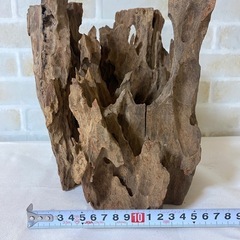 ②流木 天然木 アクアリウム 盆栽 熱帯魚 ADAの画像