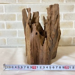 ②流木 天然木 アクアリウム 盆栽 熱帯魚 ADAの画像