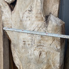 ムク板　大型厚物2100×300×100 位　どれでも同価格　樹種:ポプラ？の画像