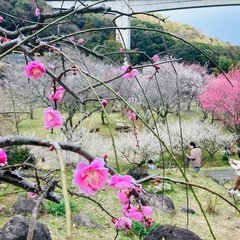 旅友の会！