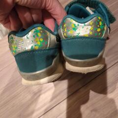 ニューバランス19センチの画像