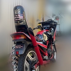 VT250Fの画像