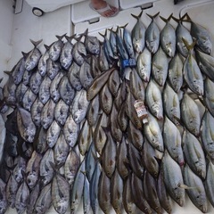 釣り仲間募集します - 町田市