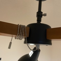 照明（ペンダントライト ボレロ(BK)）の画像