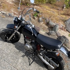 エイプ50 Ape 50