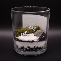 苔テラリウム　ミニチュア付き