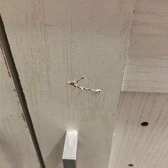 靴箱　棚　
ニトリ の画像