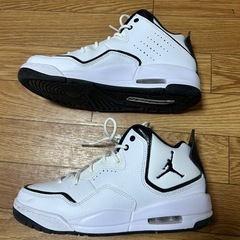 NIKE AIR JORDAN コートサイド23 AR1000-100 25cmの画像