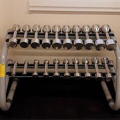 定価60万円超 中旺ヘルス ステンレスダンベルセット1kg〜10kg＋テクノジムダンベルラックの画像