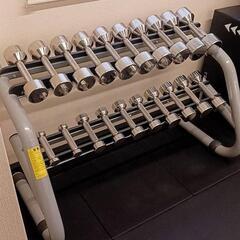 定価60万円超 中旺ヘルス ステンレスダンベルセット1kg〜10kg＋テクノジムダンベルラックの画像