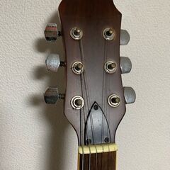 エレアコギターの画像