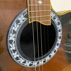 エレアコギターの画像