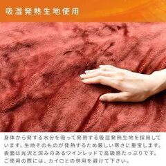 【最終値下げ】★新品未使用が半額以下！★ 電気ひざ掛け 電気毛布 120×60cm ブランケット ホカロン 山善 YAMAZEN YHK-HR41F 節電 電気ひざ掛け毛布 おしゃれ 洗える ダニ対策の画像