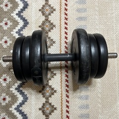 ダンベル10kg