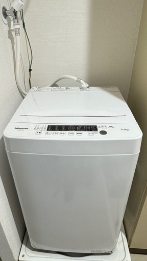2024年 5.5kg Hisense 洗濯機