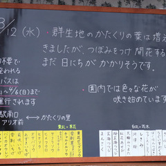 3/23日曜 南高尾と草戸山とカタクリの里と私 - 八王子市