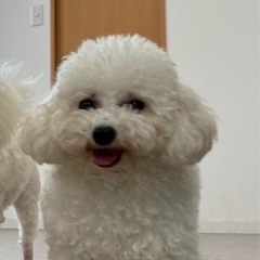 引き取ってもらえませんか