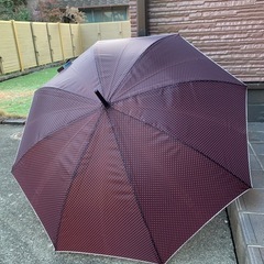 薄紫地白色水玉模様グラスファイバー58cm