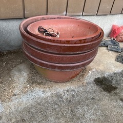 植木鉢の画像