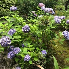 お友達募集です - 静岡市