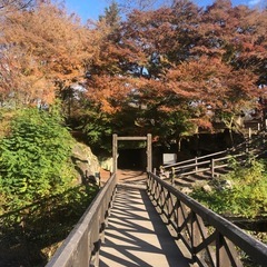 お友達募集です - メンバー募集