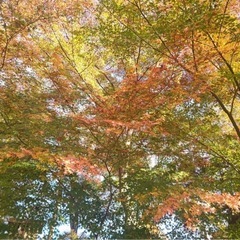 お友達募集です − 静岡県