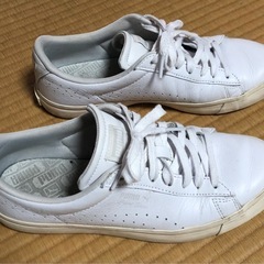 PUMA ローカットスニーカー